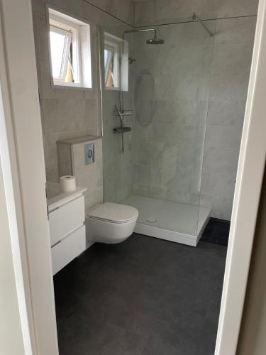 La salle de bains est pourvue d'une douche, de toilettes et d'un lavabo. dans l'établissement Dalamynni, à Hólmavík