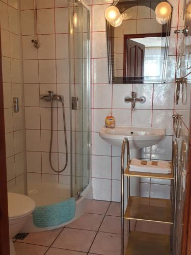 y baño con ducha, lavabo y aseo. en Pokoje Gościnne Angelika, en Wisła