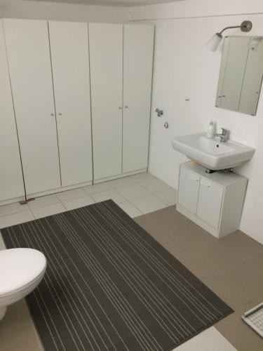 łazienka z umywalką i toaletą w obiekcie Ferienwohnung Wald-Stadt-Blick w mieście Erfurt