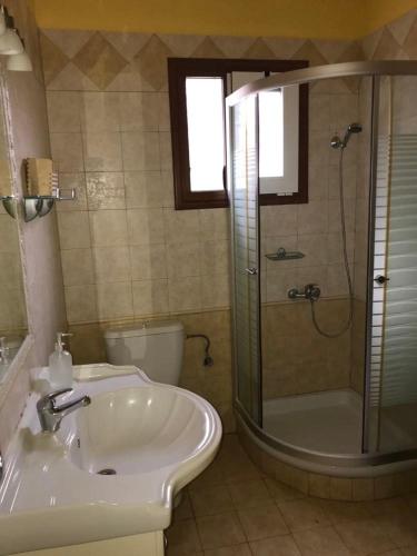a bathroom with a sink and a shower and a toilet at Bill's Garden Villa in Kalamos