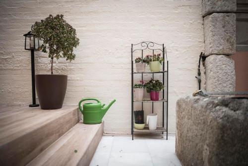 a plant shelf with potted plants on a wall at Apartamento en Centro Histórico con patio Romano in San Lorenzo de El Escorial