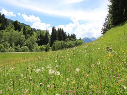 un prato di erba con fiori su una collina di Nice Apartment in Kirchberg in Tyrol with Mountain View a Kirchberg in Tirol