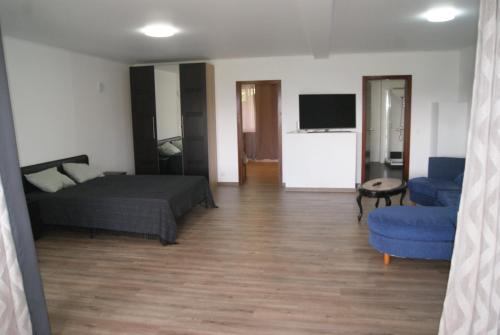 a bedroom with a bed and a couch and a tv at Apartamentos Praia do Almoxarife in Horta