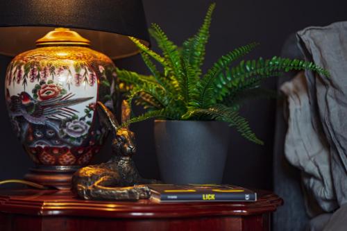 a lamp on a table with a snake next to a plant at BOHOTEL in Macclesfield