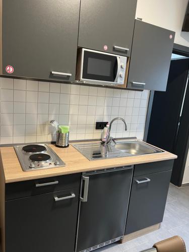 kuchnia ze zlewem i kuchenką mikrofalową w obiekcie Haus Sanny w mieście Wismar
