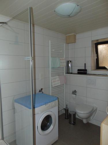 a bathroom with a washing machine and a toilet at Ferienwohnung Astor zwischen Rhein und Mosel in Plaidt
