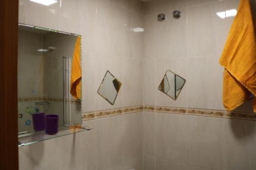 a bathroom with a shower and a glass shower backdoor at Apartamentos La Carmen in Arrecife