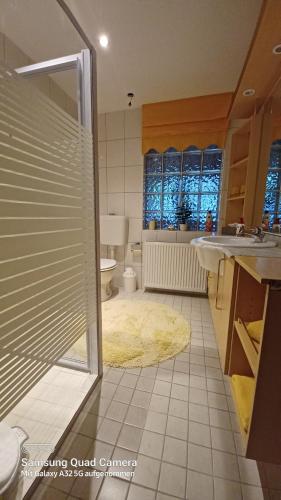 ein Bad mit einer Dusche, einem Waschbecken und einem WC in der Unterkunft Wohnung 3 in Ostseebad Nienhagen