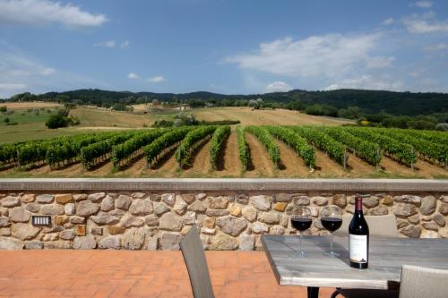 two glasses of wine sitting on a table with a vineyard at Antico Fio in Poppi