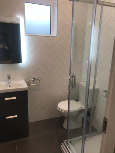a bathroom with a toilet and a glass shower at Eyre Luxury Apartment in Galway