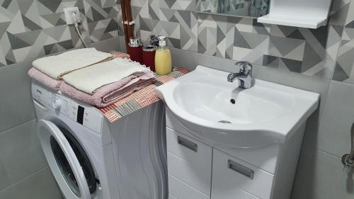 Inđija的住宿－IMPERIUM stan na dan，一间带洗衣机和水槽的浴室