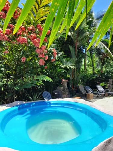 a small blue pool in a yard with flowers at Hotel El Colibri Rojo - Cabinas - Le Colibri Rouge in Cahuita