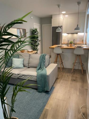 Apt Centro Pontevedra