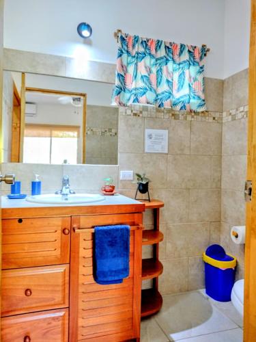 a bathroom with a sink and a mirror at Casa Ceiba Samara in Sámara