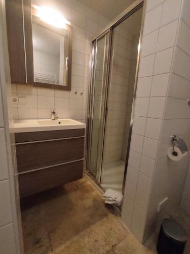 a bathroom with a shower and a sink and a mirror at Studio53Amsterdam in Amsterdam