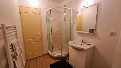 ein Badezimmer mit Dusche, Waschbecken und Spiegel in der Unterkunft Le Studio Bis - Appartement meublé tout confort Centre Ville in Pont-Sainte-Maxence