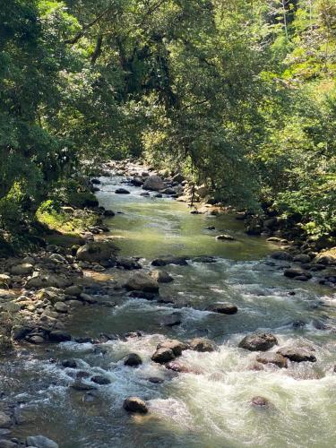 a stream with rocks in a river with trees at Hotel El Colibri Rojo - Cabinas - Le Colibri Rouge in Cahuita