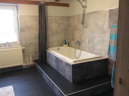 Koupelna v ubytování Ferienwohnung Uwe's Sporthütte