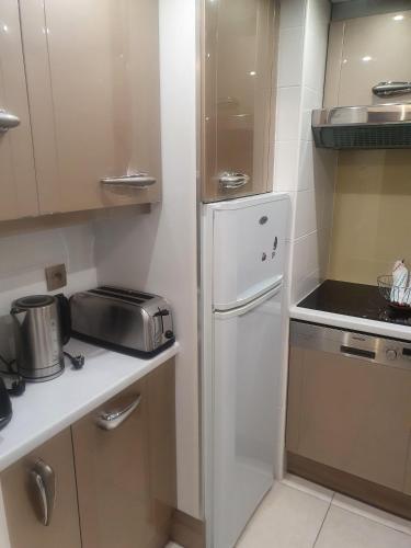 Il comprend une petite cuisine équipée d'un réfrigérateur et d'une cuisinière. dans l'établissement OASIS du TOUQUET, à Le Touquet-Paris-Plage