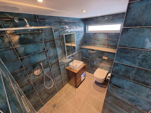 a bathroom with a shower and a toilet at Chy Mor Apartment 1 in St Ives