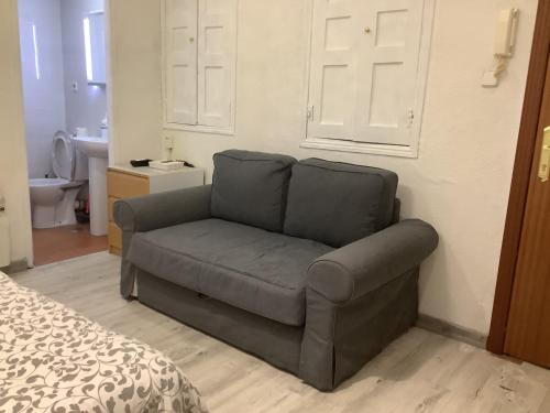 マドリードにあるPelayo 44 Chuecaのバスルーム付きの客室で、グレーのソファが備わります。