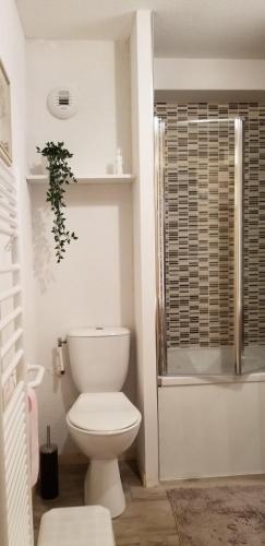 une salle de bain blanche avec toilettes et douche dans l'établissement Au Centre de la station de ski de Valfréjus - appartement 4-6 personnes, à Valfréjus