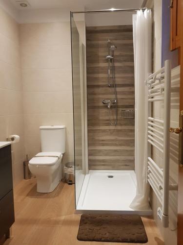 a bathroom with a toilet and a glass shower at Cardona Fira in Cardona