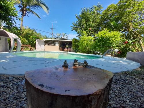 a group of rubber ducks sitting on a stump in front of a pool at Hotel El Colibri Rojo - Cabinas - Le Colibri Rouge in Cahuita