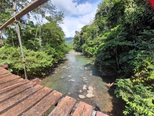 a bridge over a river in the jungle at Hotel El Colibri Rojo - Cabinas - Le Colibri Rouge in Cahuita