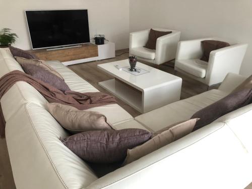a living room with a white couch and a tv at Garden House in Kranj