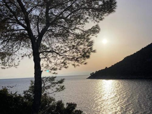 Imagen de la galería de Alexandra Sofia, en Stafylos