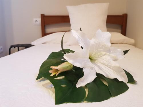 a white flower sitting on top of a bed at Cardona Fira in Cardona
