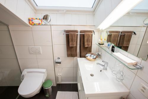 a bathroom with a white toilet and a sink at Apartments Chalet Wirz Travel in Sarnen