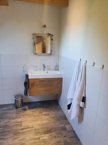 uma casa de banho com um lavatório e um espelho em Haus Ziegenblick em Herbolzheim