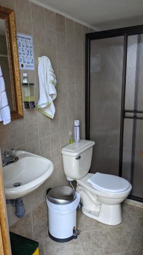 uma casa de banho com um WC e um lavatório em Vivienda Turística - Casa de Carola em Jardín