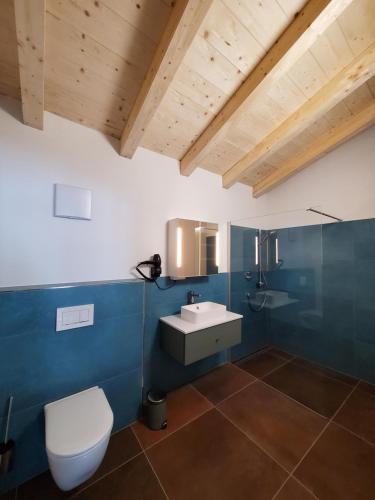 Łazienka z białą toaletą i umywalką w obiekcie Arlbergschmiede w mieście Dalaas