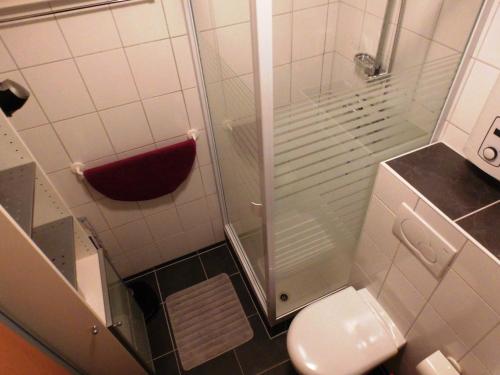 a small bathroom with a shower and a toilet at Fewo 91 WHG B 15 in Burhave in Burhave