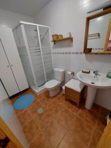bagno con servizi igienici e lavandino di Apartamento Huerta Grande a Benaocaz