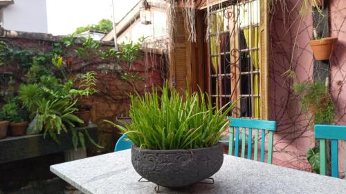 a potted plant sitting on a table on a patio at Vila Santa Rosa Guest House in Ilhabela