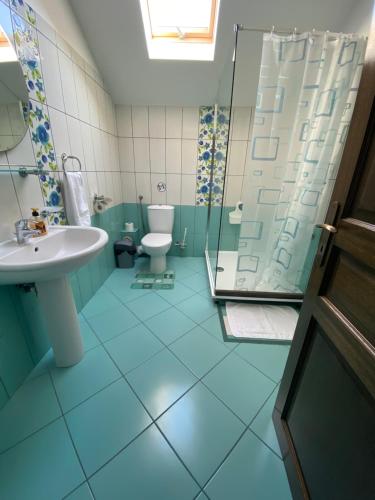 une salle de bains avec toilettes, lavabo et douche dans l'établissement Hasienda, à Râșnov