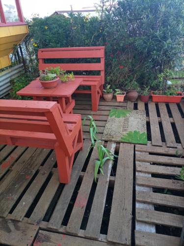 Un jardín fuera de Esencia Chilota