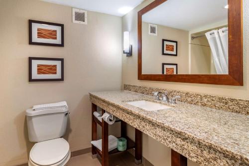 a bathroom with a toilet and a sink and a mirror at Comfort Inn Biltmore West in Asheville