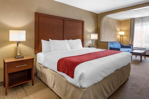 a hotel room with a large bed and a chair at Comfort Inn Biltmore West in Asheville
