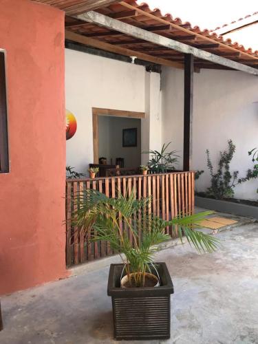 a plant in a pot sitting in a patio at Residencial Vovó Lelé in Imbassai