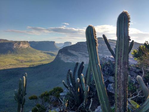 a group of cactuses in the grand canyon at Hospedagem Sabor Da Trilha in Vale do Capao
