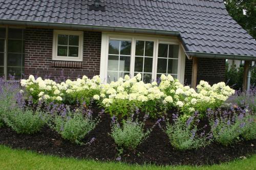 a garden of flowers in front of a house at Hof van Salland Hellendoorn in Hellendoorn