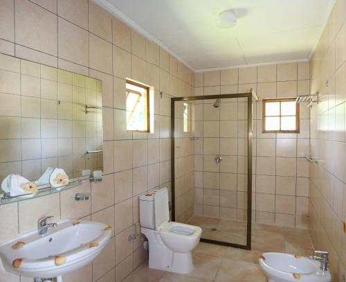 a bathroom with a toilet and a sink and a shower at Le Surmer Self Catering Chalets in La Digue