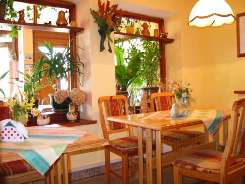 a dining room with tables and chairs and plants at Pensjonat Lotos in Krynica Morska