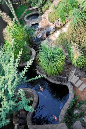 an aerial view of a garden with a pond at Waterfalls Boutique Hotel in Pretoria