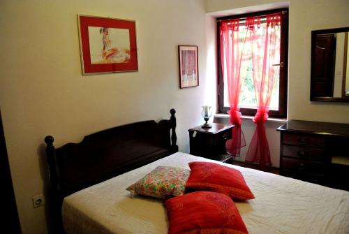 Apartment Novigrad